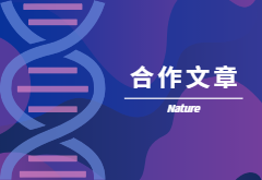 登顶Nature|产量+抗性，鱼和熊掌也可兼得